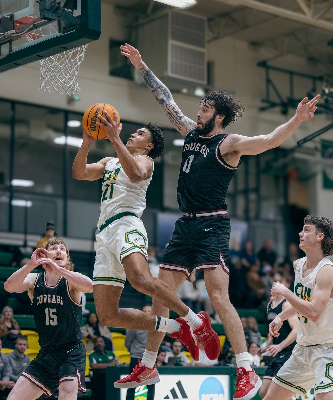 Jackson Tucker takes the ball up to the basket  